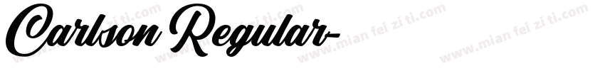 Carlson Regular字体转换